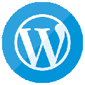wordpress-website development